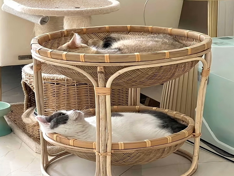 ����ʳ���ջ����