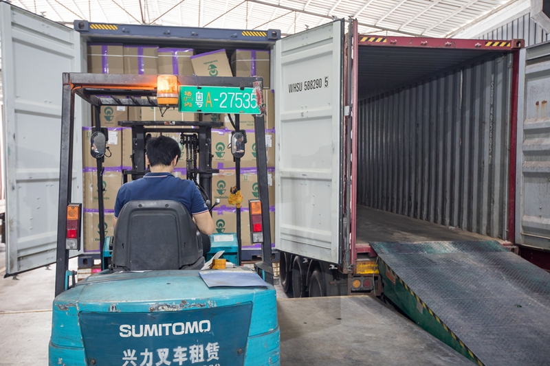 ��ɽ�ִ�����